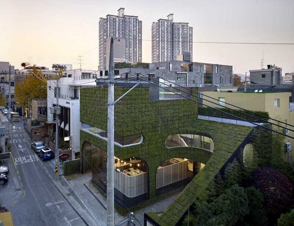 Зеленая архитектура при возведении городских зданий и сооружений